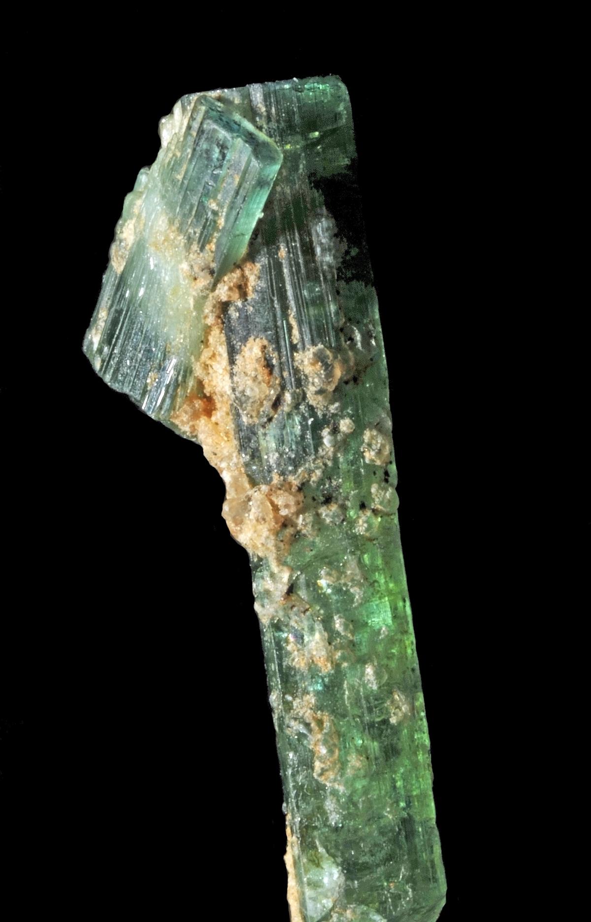 Rough tourmaline crystals on pale matrix, blue green against white quartz and feldspar.