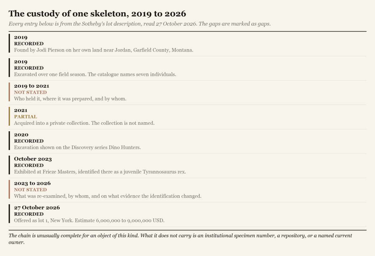 A figure listing the custody of the skeleton from 2019 to 2026, marking which entries the Sotheby's lot description records and which it leaves out.