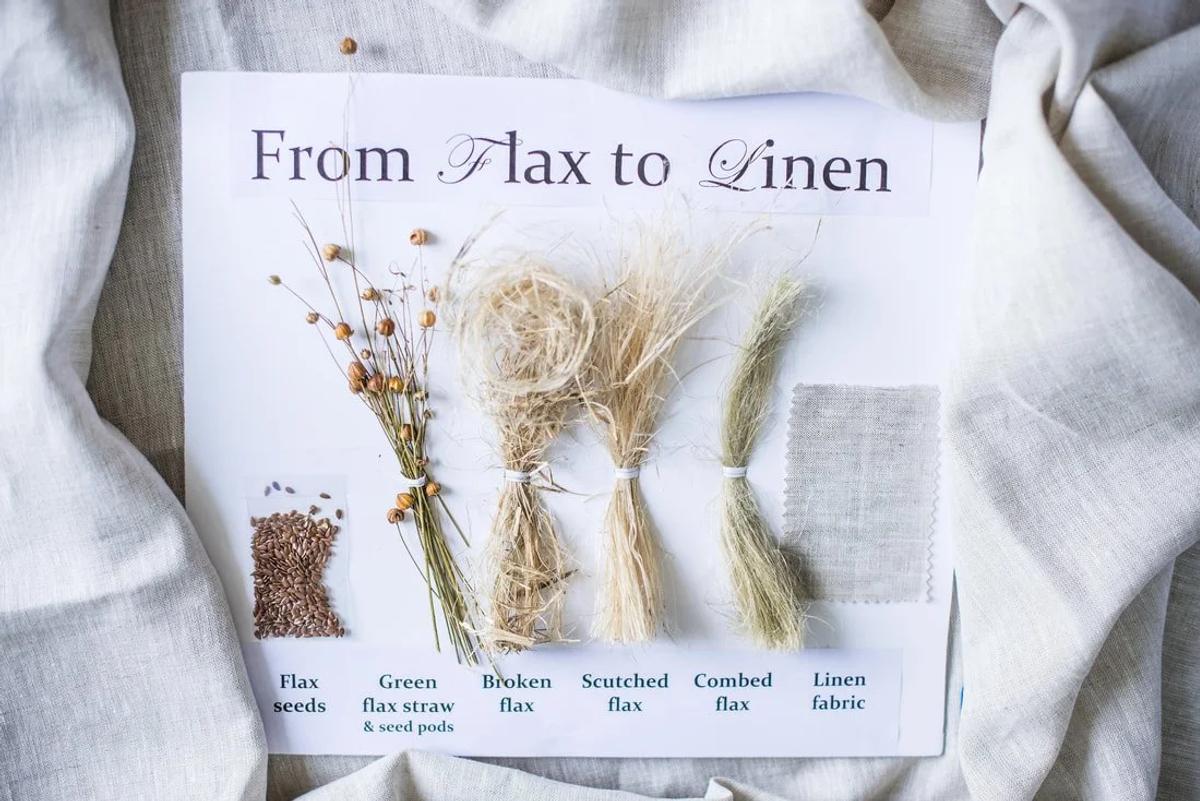 Object Testimony achieved: An analytical taxonomy of the garment’s lifecycle from seed to cloth, illustrating the absolute opposite of fast fashion's erased labor.