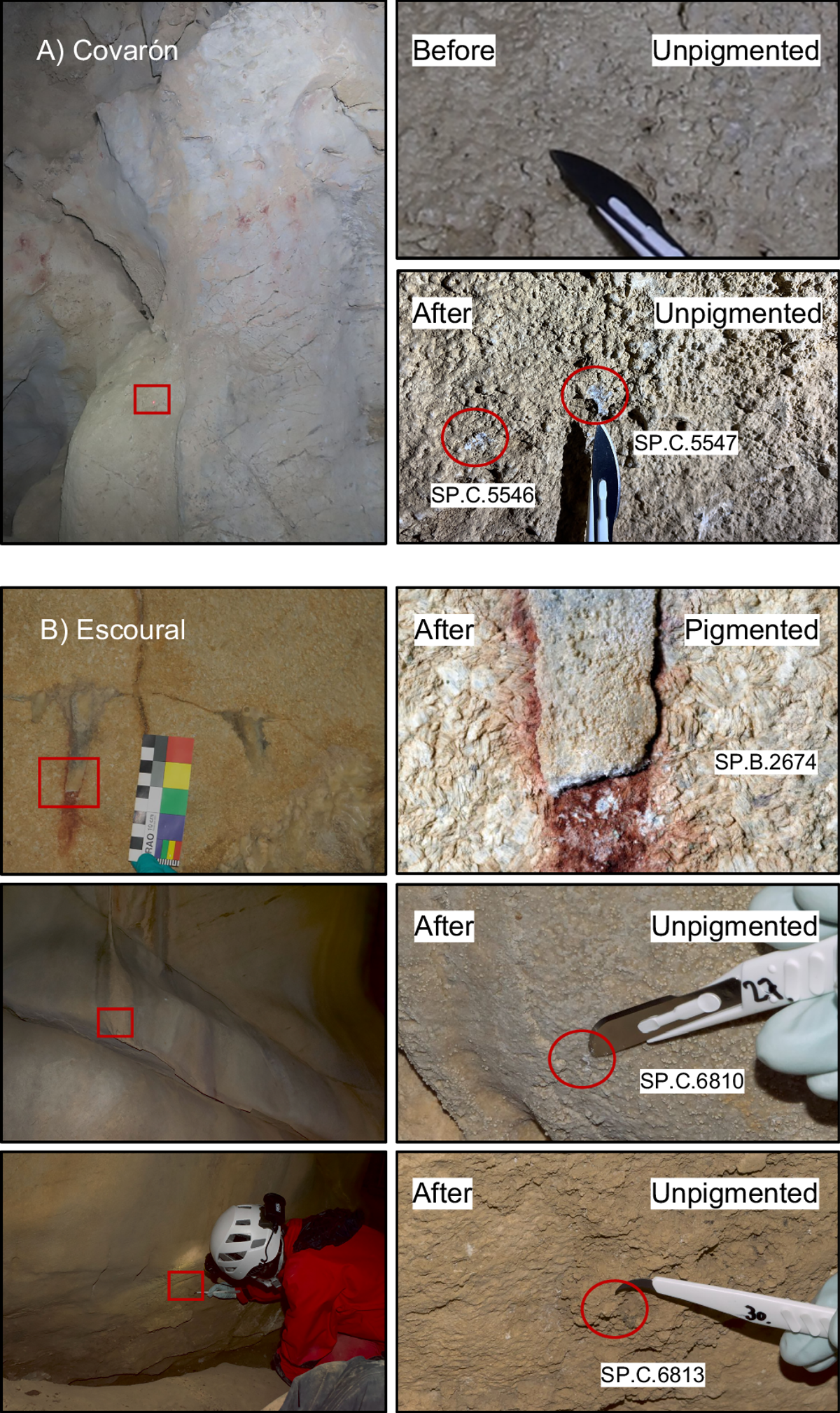 Photographs of cave walls in two groups. Upper group, Covaron: a pale flowstone surface with faint red marks, a red rectangle marking a sample point, and close-ups before and after sampling with a scalpel blade and two red circles. Lower group, Escoural: a red ochre mark beside a colour scale, a close-up of a white calcite crust split by a crack with red pigment beneath it labelled SP.B.2674, and two unpigmented wall samples labelled SP.C.6810 and SP.C.6813.
