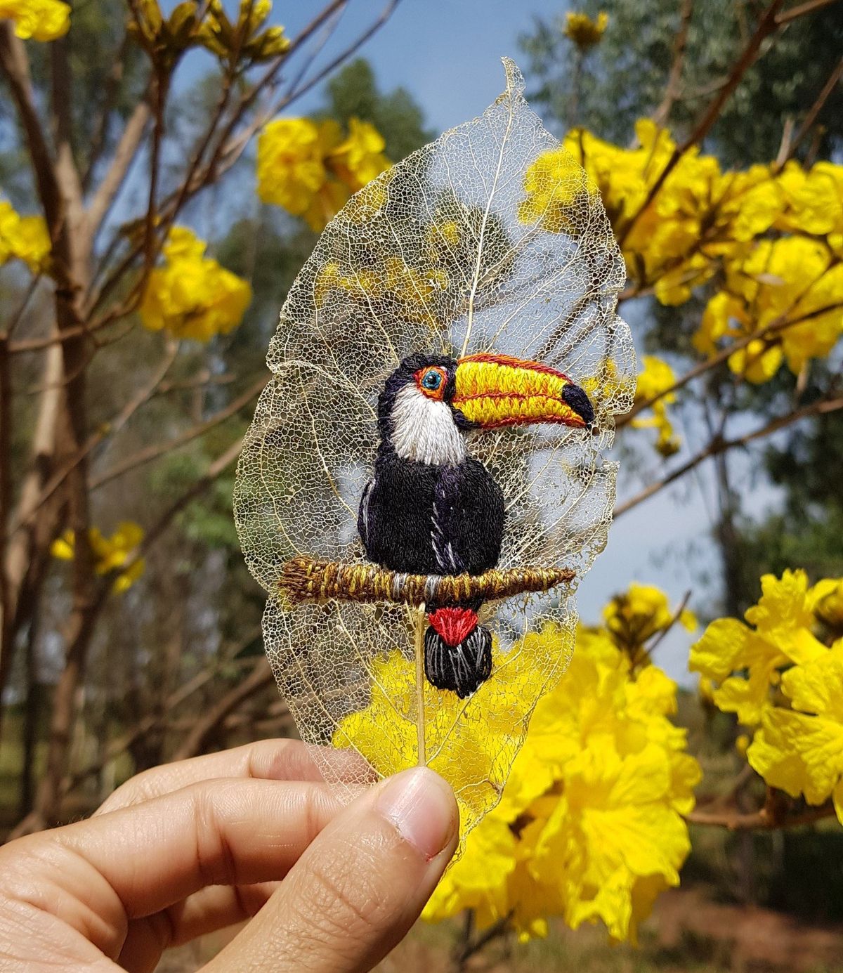 A hand holding a skeleton leaf embroidered with a toucan in black, yellow and red thread, held up against a tree of yellow blossom.