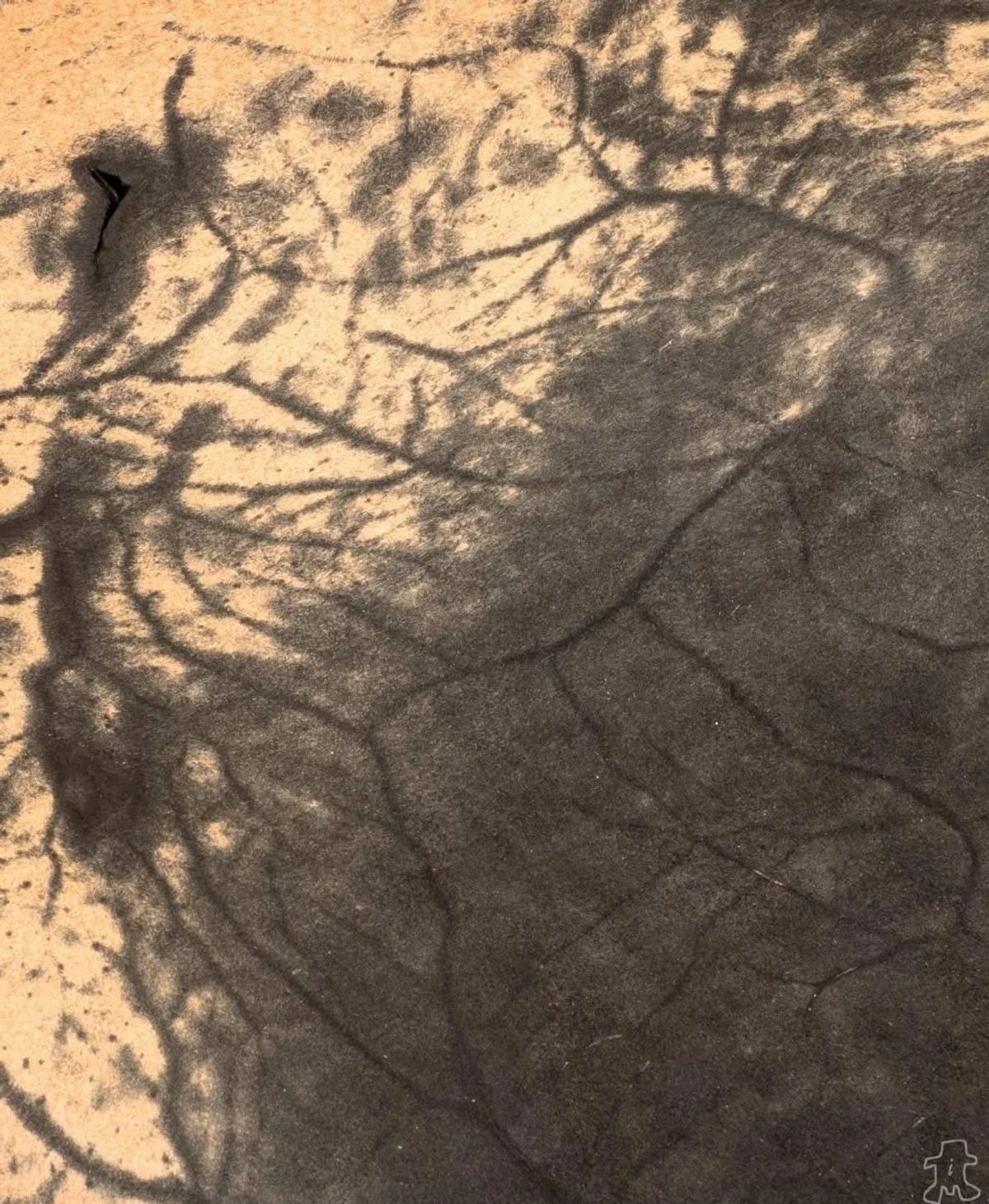 A close view of a stained garment surface where dark branching lines spread outward across pale orange cloth like the veins of a leaf.