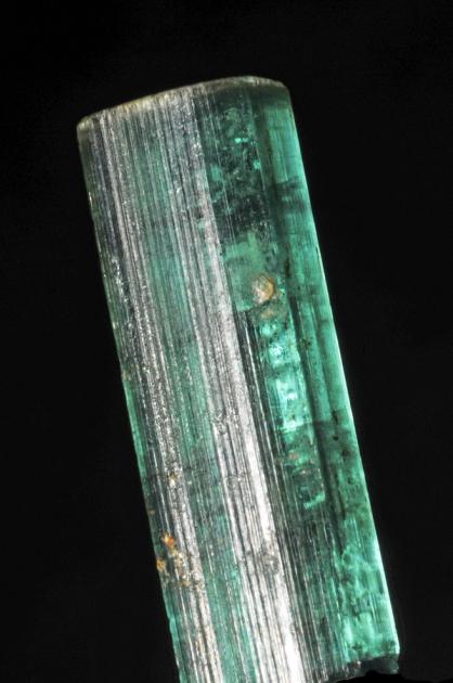 A single rough tourmaline crystal of intense blue green, standing on pale matrix.