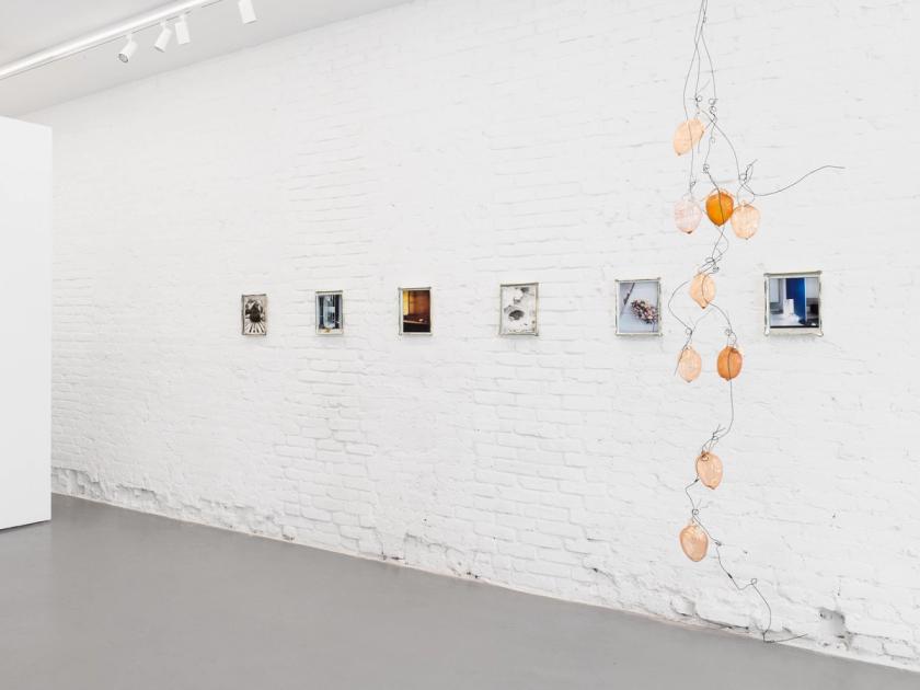 Gallery installation view: six small photographs in hand-mirrored glass mounts hung in a line along a white brick wall, with a cascade of amber and pale pink glass lemons on black wire suspended beside them.