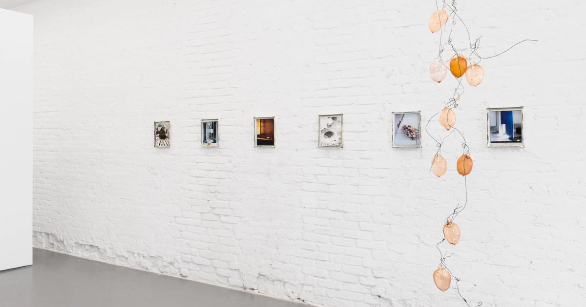 Gallery installation view: six small photographs in hand-mirrored glass mounts hung in a line along a white brick wall, with a cascade of amber and pale pink glass lemons on black wire suspended beside them.