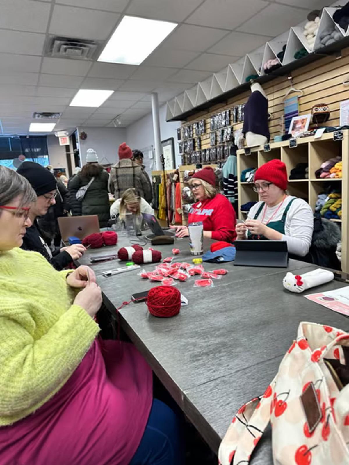 Systemic Stewardship in Action: The Needle & Skein collective transforms the labor of making into a form of financial mutual aid, embedding Tactical Friction into the biological and political history of the object.
