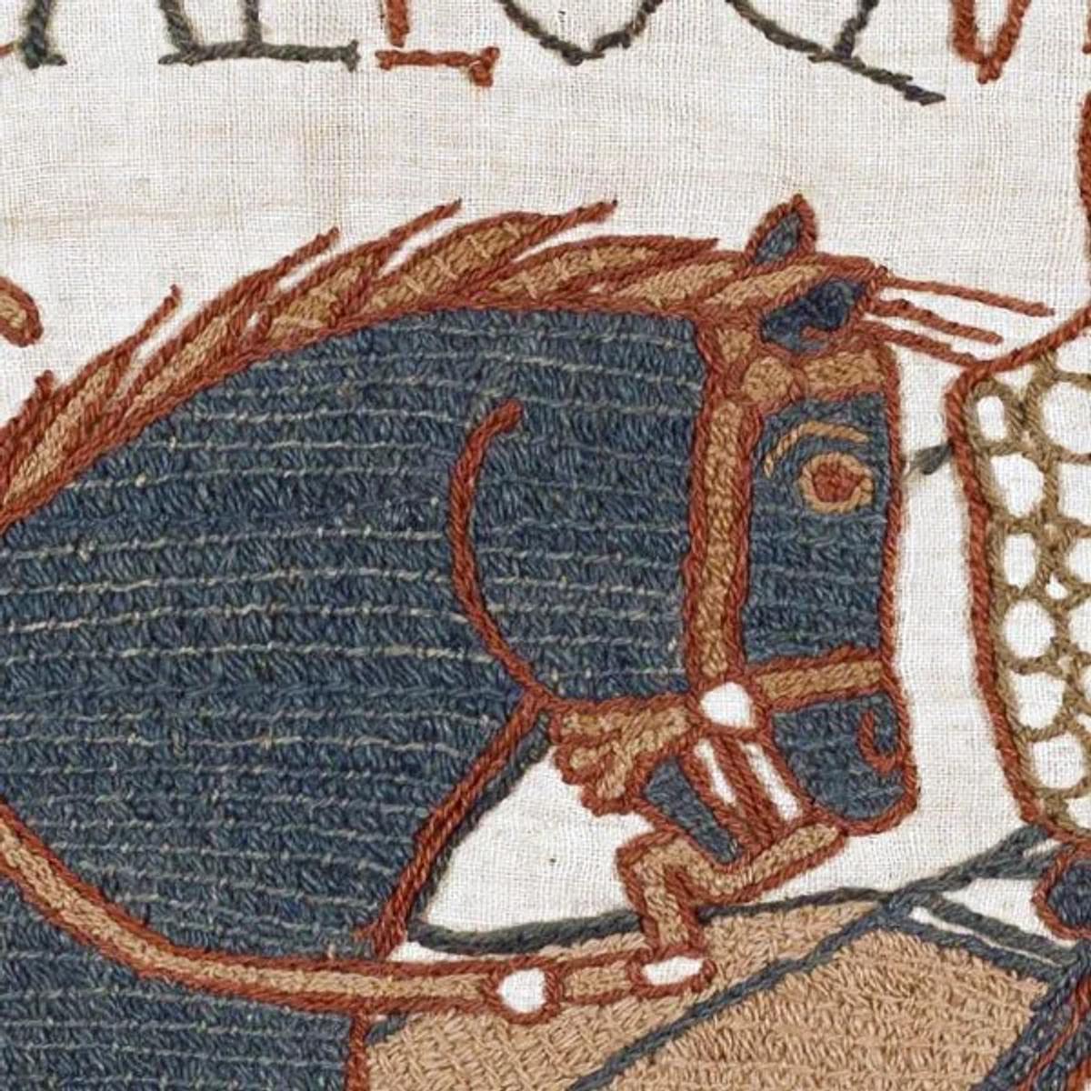  Physical manifestation of Labor Density: a macro look at the individual wool threads of The Bayeux Tapestry, illustrating the raw material singularity that has survived nine centuries of institutional custodianship. 