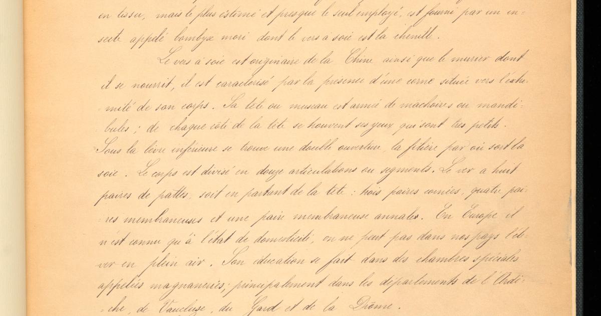A page from an 1895 notebook with mounted silk samples beside hand-written notes and ruled weave diagrams.
