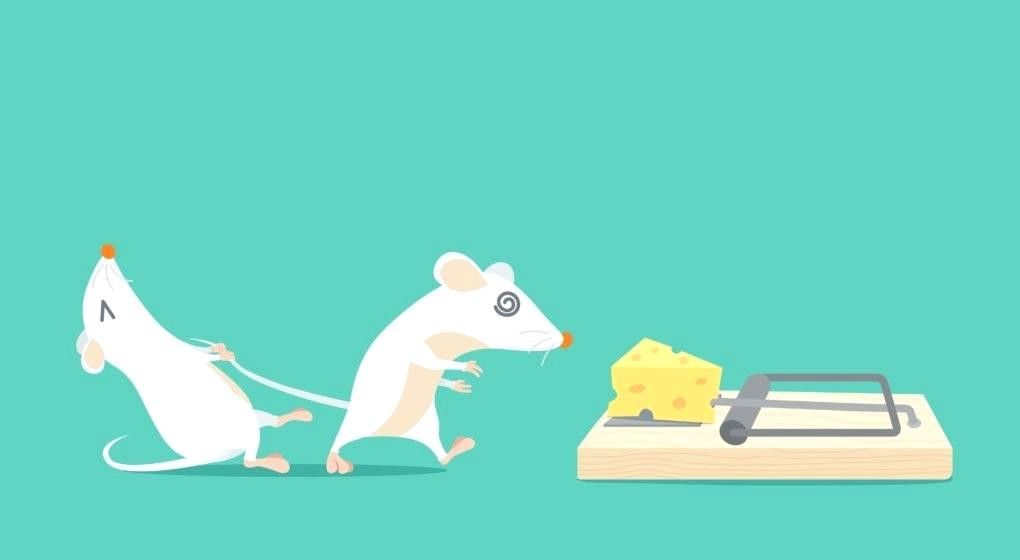 5 Common Pitfalls to Avoid as Product Manager
