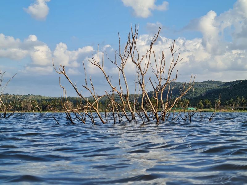 Photos of the day to day - just added to show perspective. Nothing more. Nothing less.