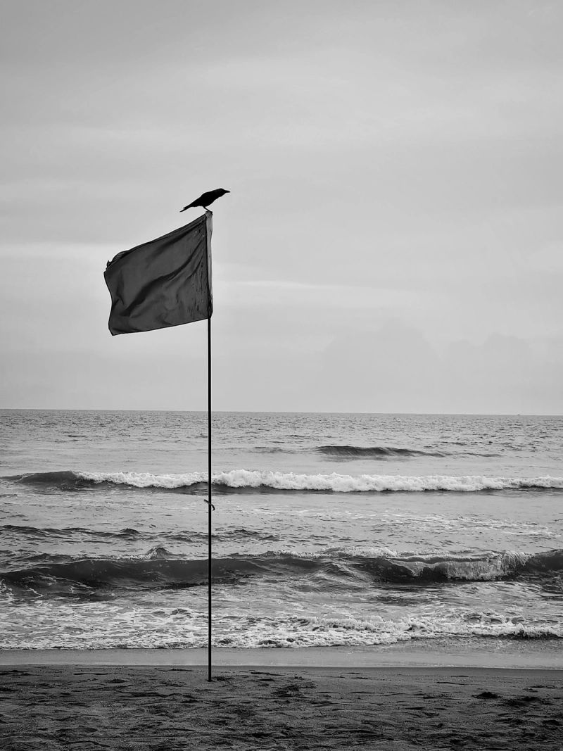 Photos of the day to day - just added to show perspective. Nothing more. Nothing less.