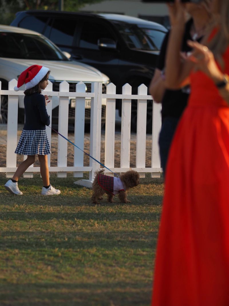 Photos of the day to day - just added to show perspective. Nothing more. Nothing less.