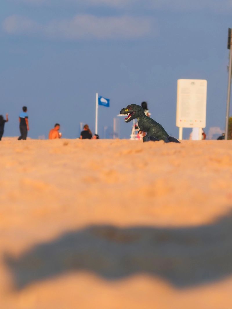Photos of the day to day - just added to show perspective. Nothing more. Nothing less.