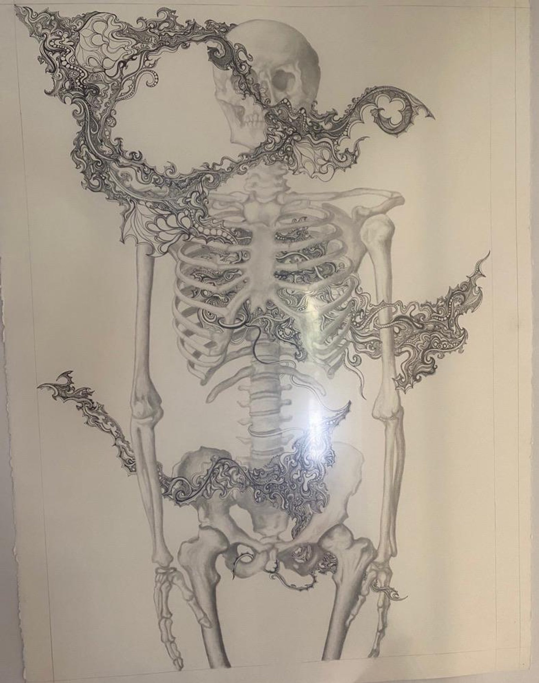 A graphite drawing of a human skeleton partially overlaid with intricate ornamental linework that threads through the skull, ribs, and pelvis.