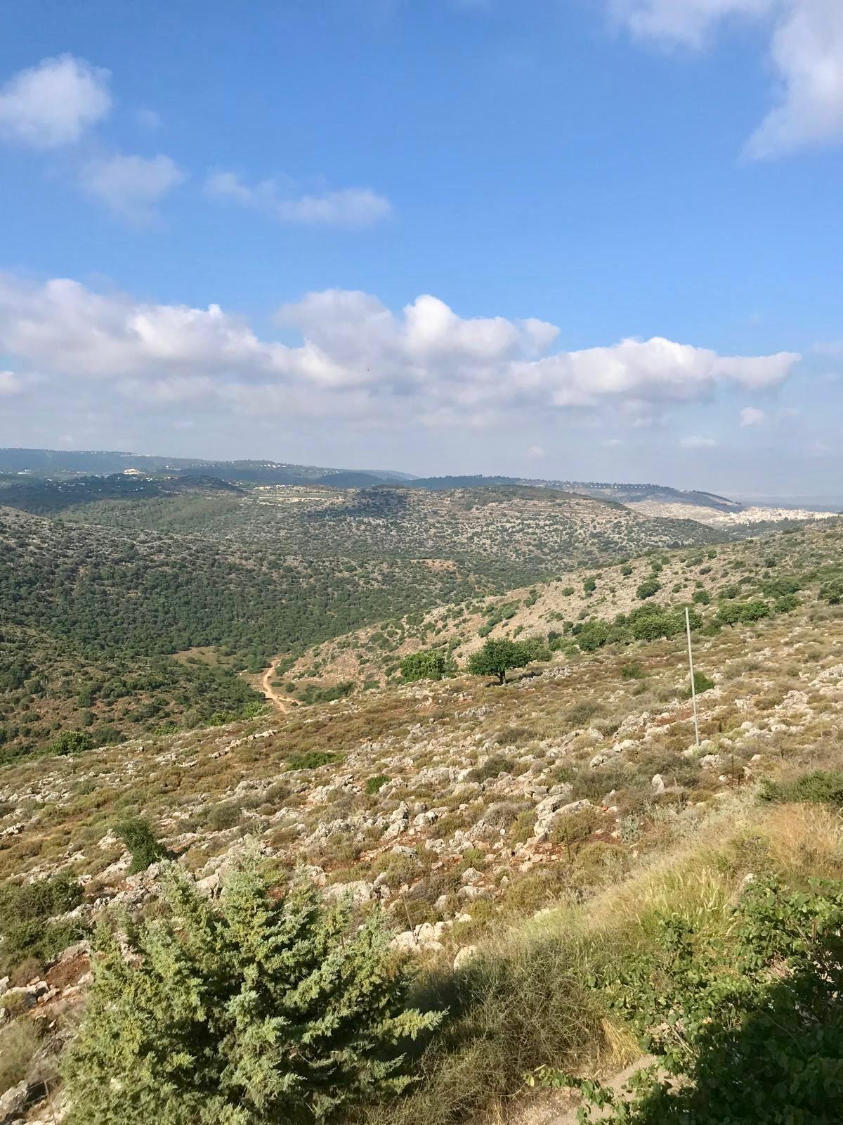 למכירה ברחוב נשר דו משפחתי 5 חדרים - תמונה 11