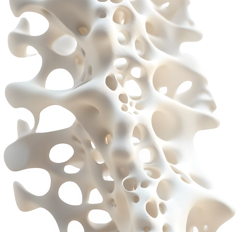 Heimasiða bein strúktúr