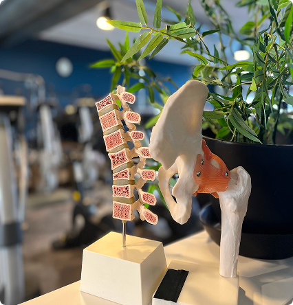 Beinþynning - teaser