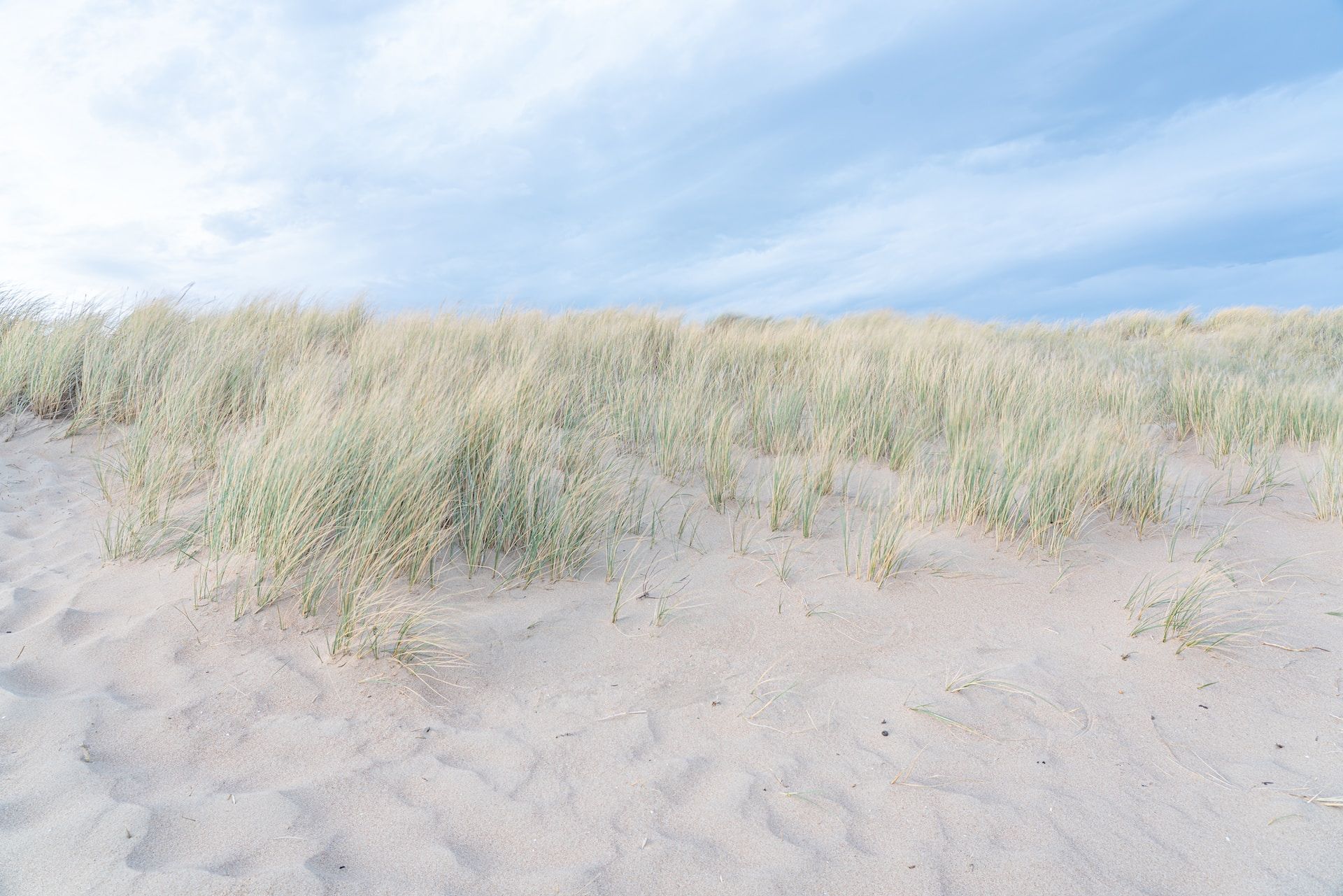 a sand dune with pale green grass sits beneath a blue, cloudy sky | Tempo Therapy and Consulting |  belonging and connection