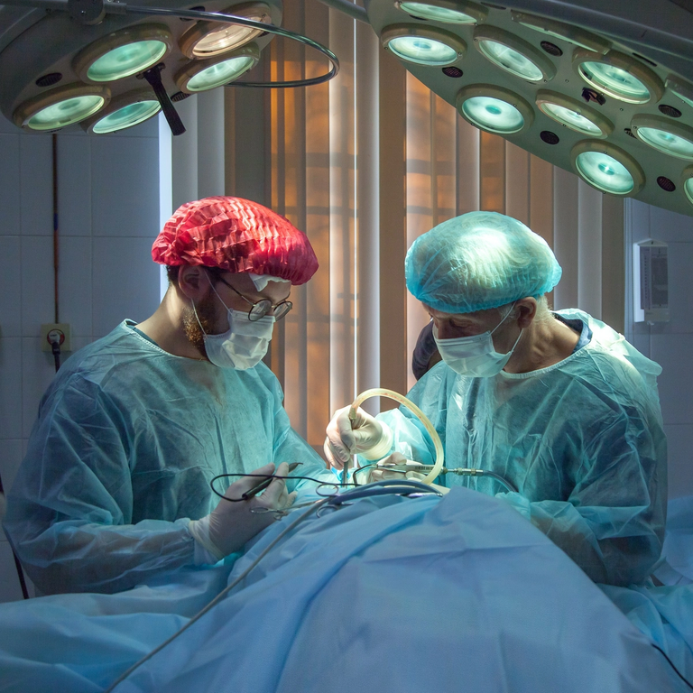Surgeon and assistant in operating theater