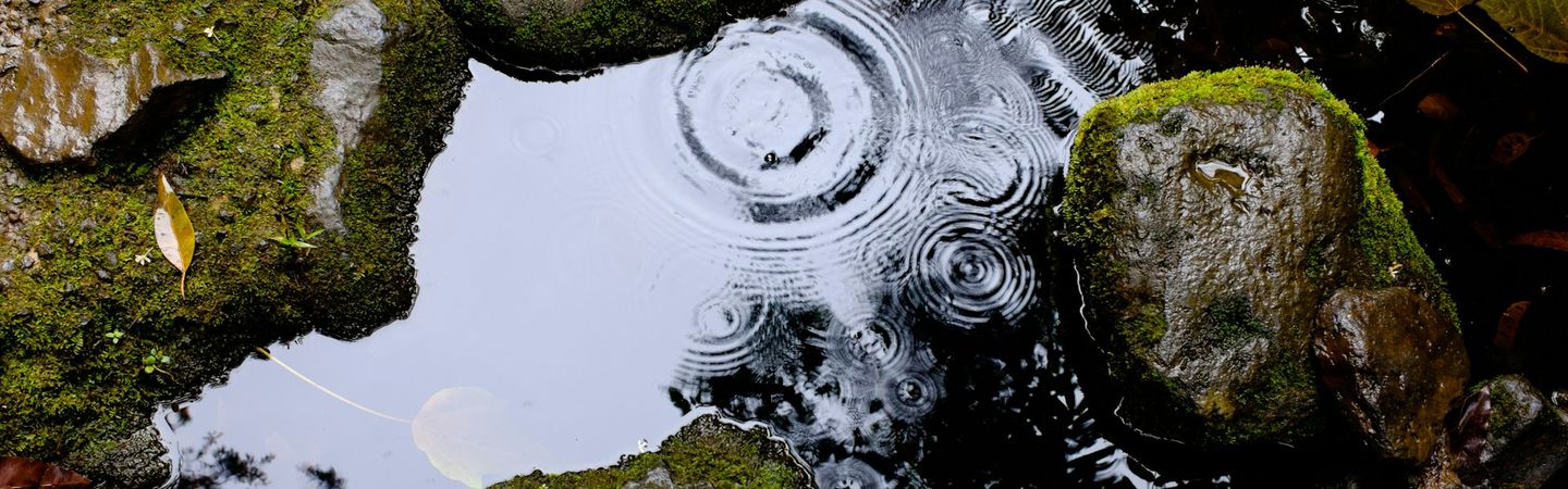 an aerial view of ripples in a small pond surrounded by mossy rocks | vicarious impacts of helping work | Tempo Therapy and Consulting