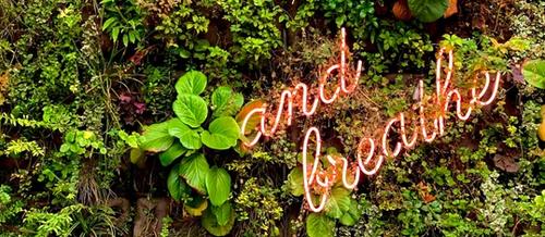 a pink neon sign with the words 'and breathe' sit on a green garden wall | self care and healthcare workers | Tempo Therapy and Consulting