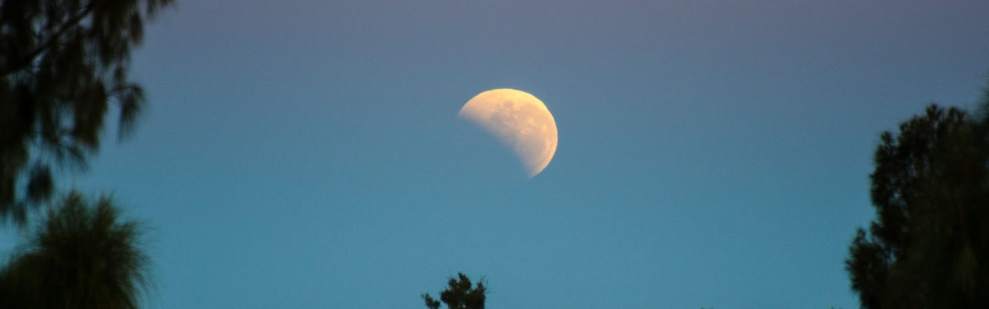 a half moon sits against a dark blue sky framed by tree shadows | a poem for healthcare workers | Tempo therapy and Consulting