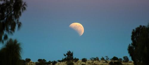 a half moon sits against a dark blue sky framed by tree shadows | a poem for healthcare workers | Tempo therapy and Consulting