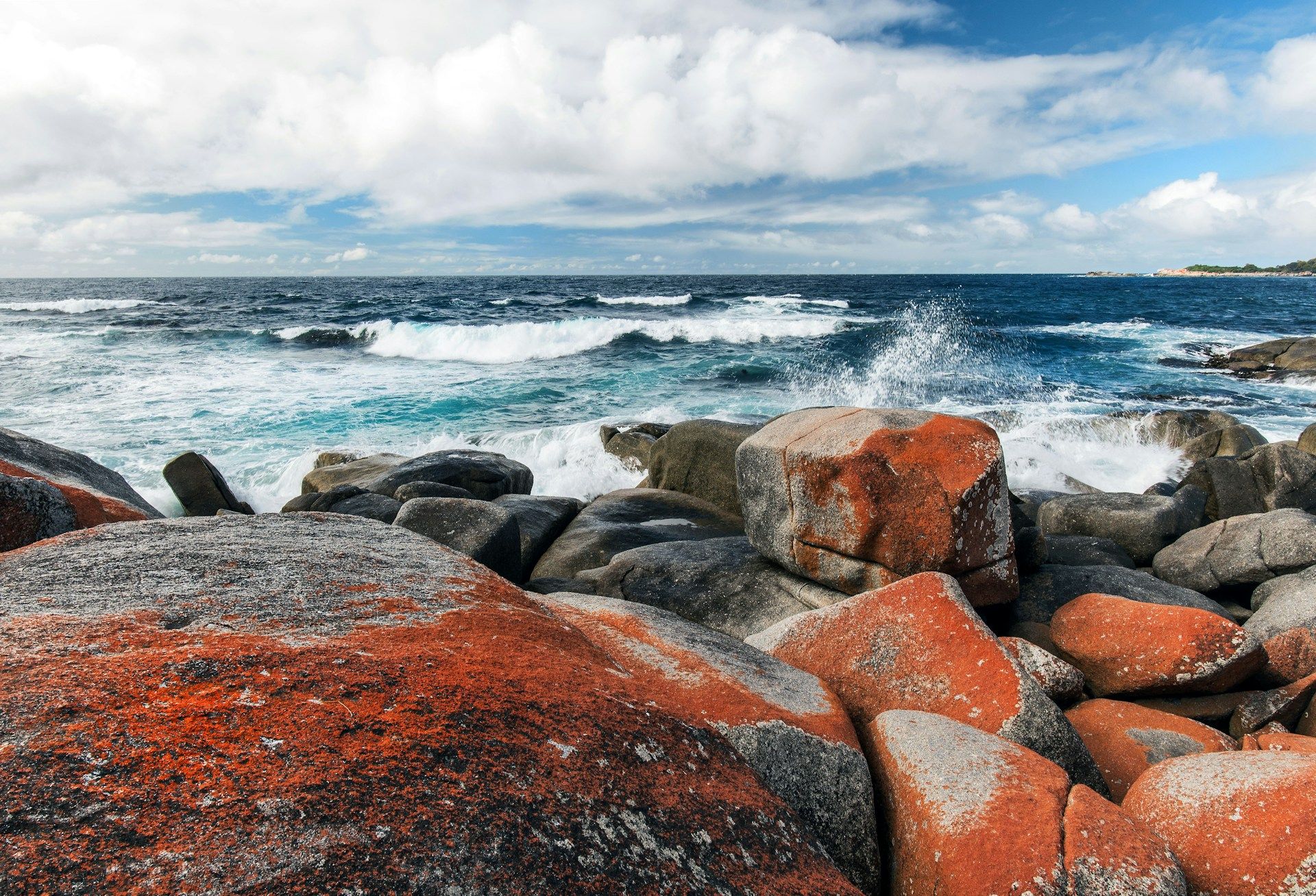 orange lichen grows on granite rocks in the foreground with waves crashing  | Presence, Process & Use of Self for therapists and clinicians | Tempo Therapy and Consulting