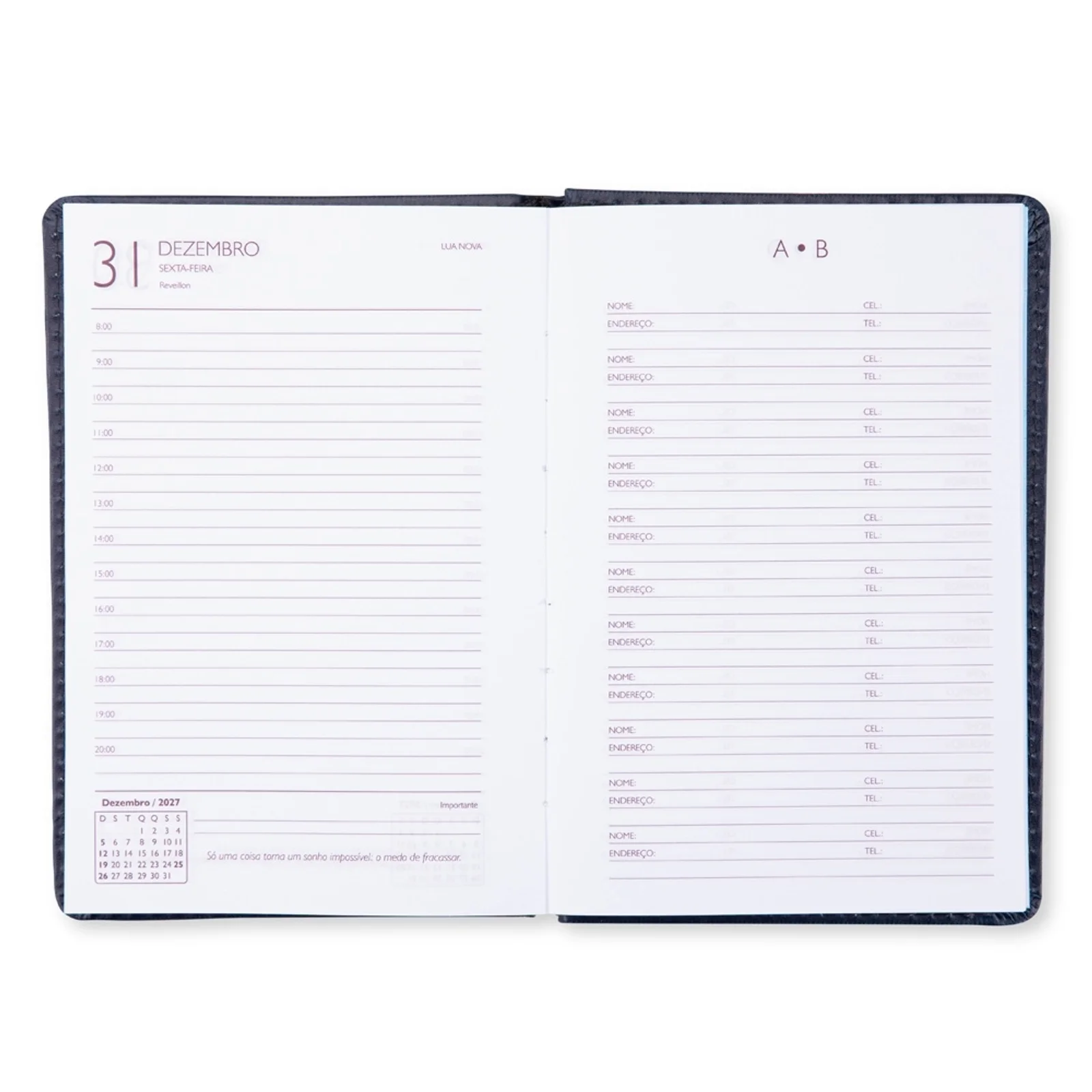 Agenda Diária 2027