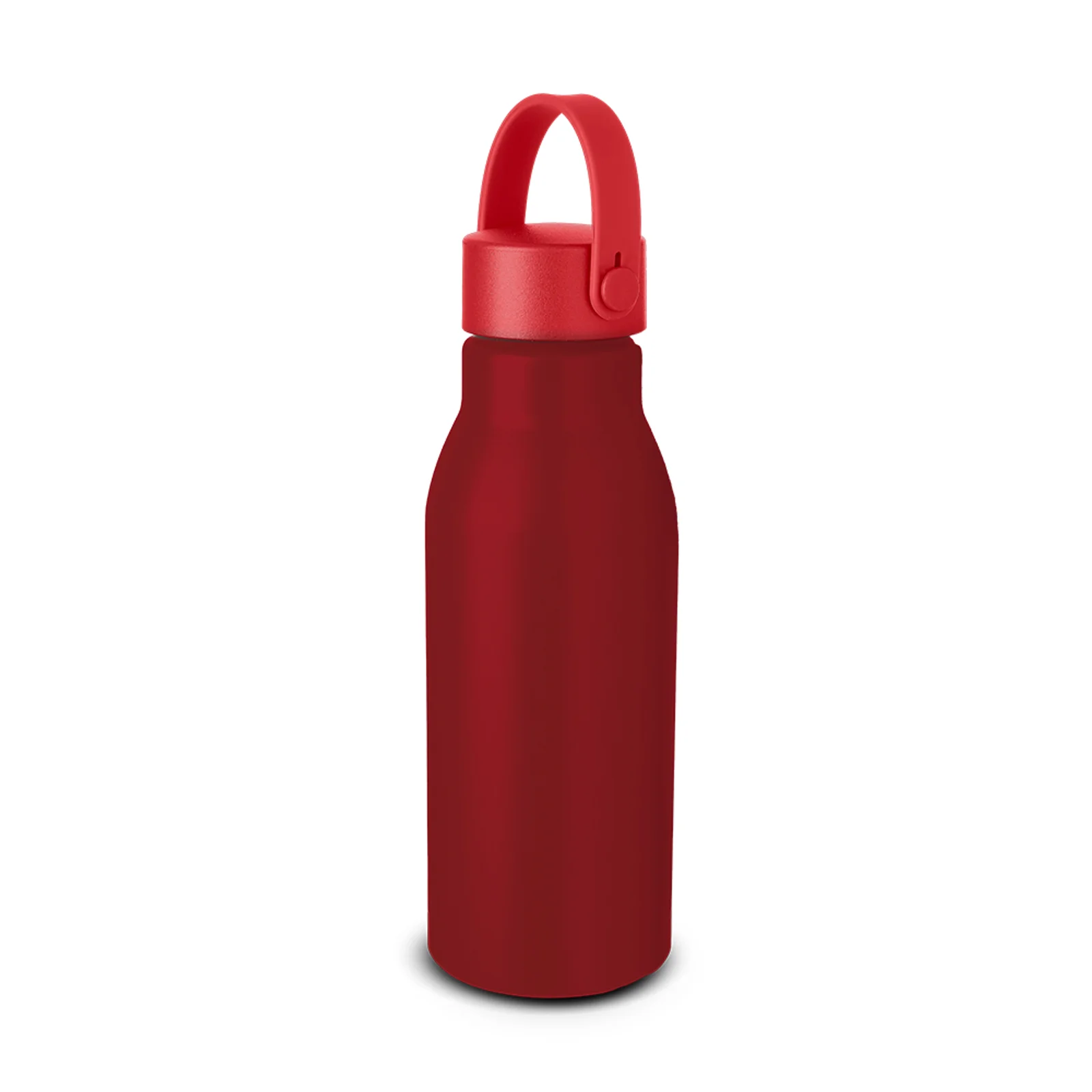 Garrafa Alumínio 650ml