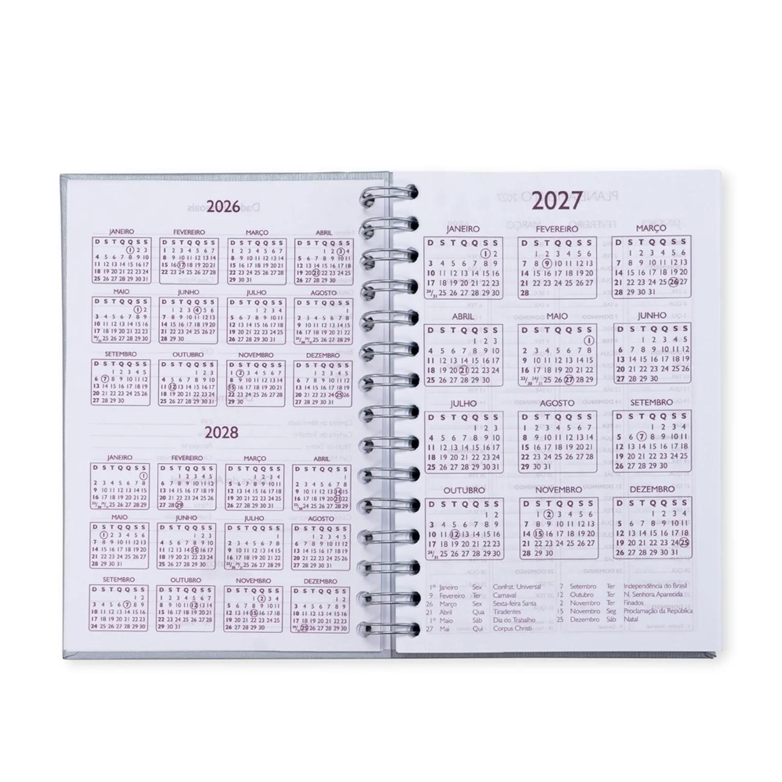 Agenda 2027 Capa Dura