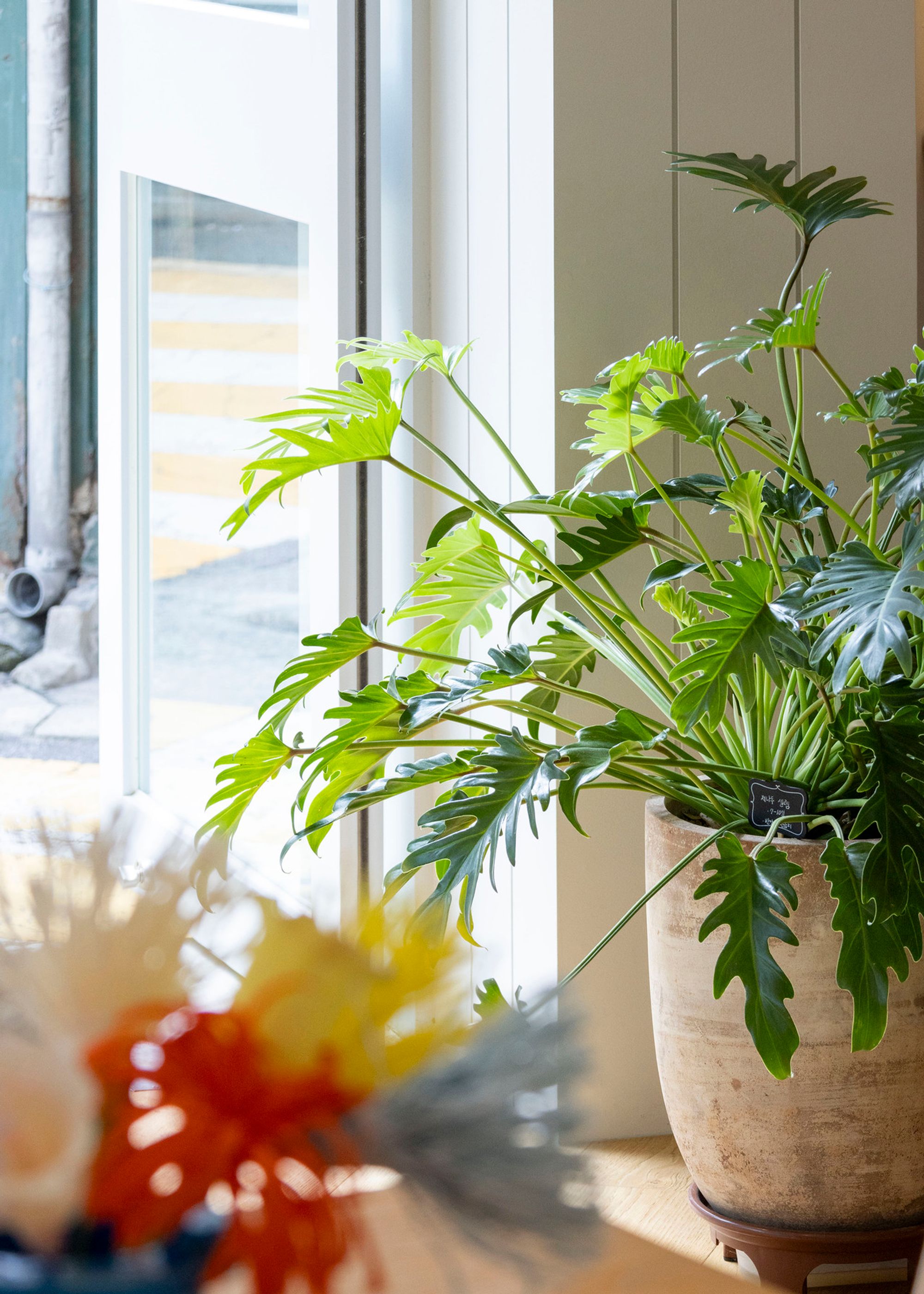 Paradiso, Seoul gallery image 6