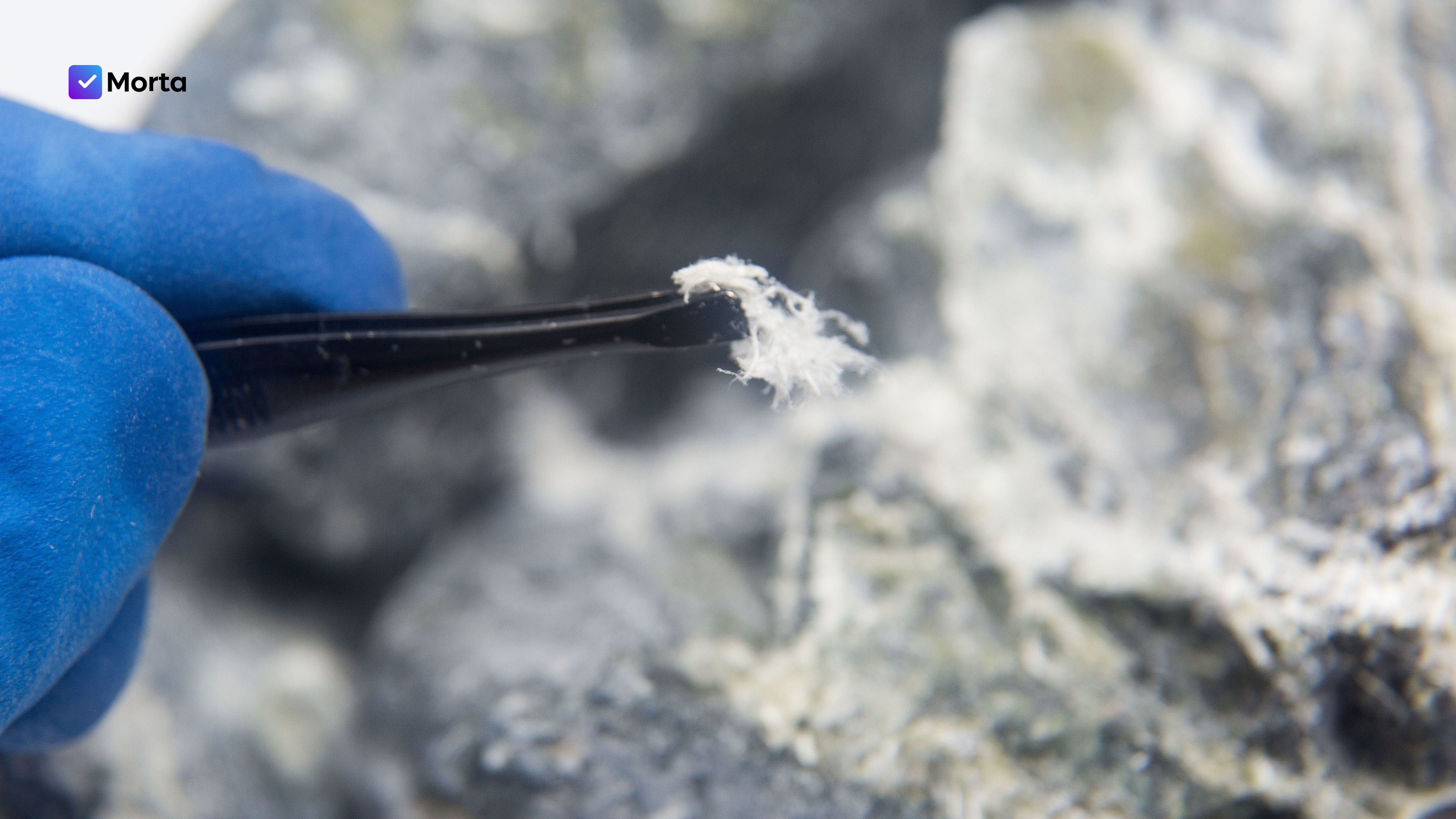 asbestos removal in the uk, cost of asbestos removal in the home in the uk, how much to remove asbestos from house in the uk, is it legal to remove asbestos myself in the uk, morta crm, morta, morta property development, morta software, property development software, software for property development, why asbestos removal is important in property development