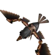 Steambird Pet: Powered by Style, Fueled by Steam