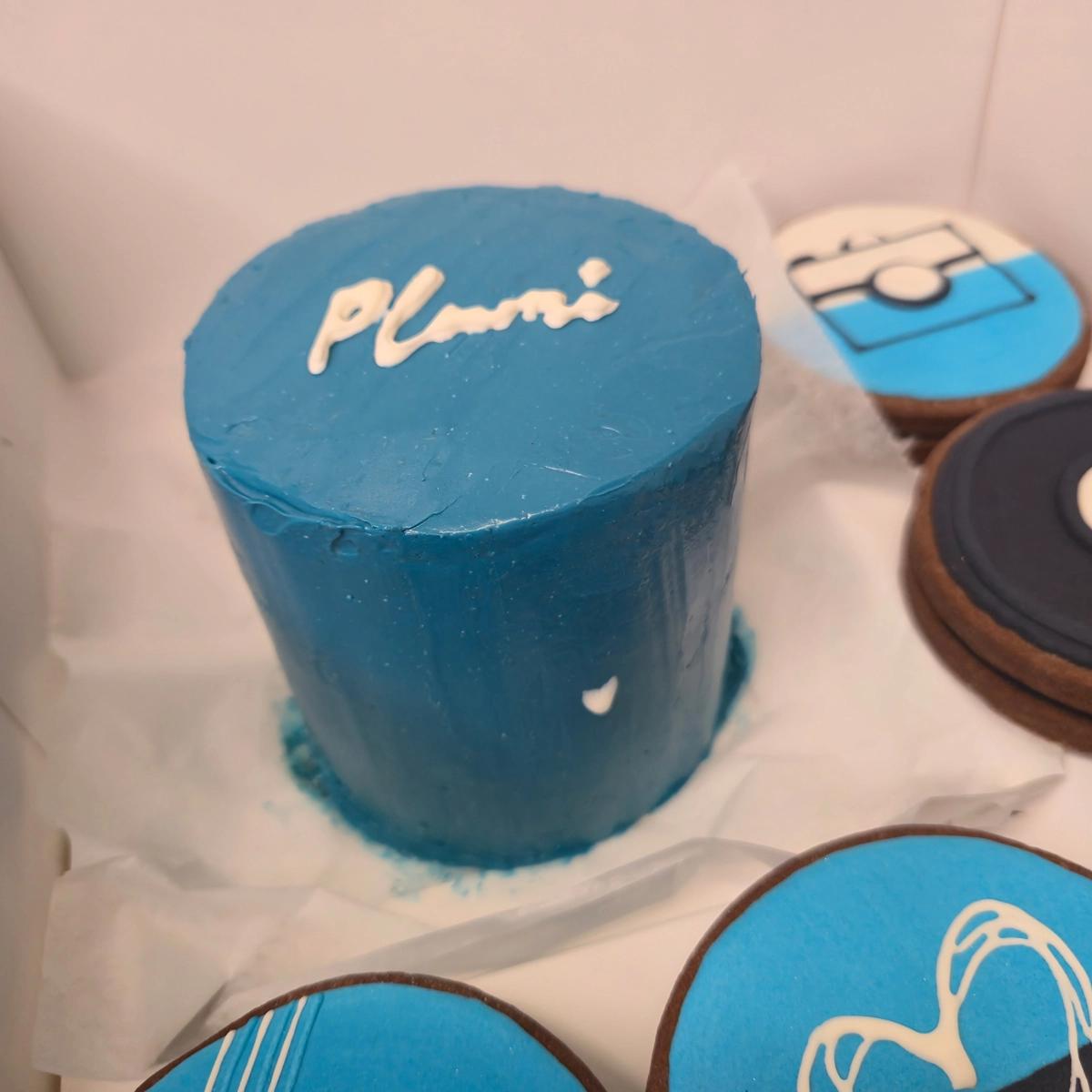 Bento Cake com Branding - Plumi - Bolos de aniversário no Porto | Bento Cakes, Cake Design, Bolachas e Cupcakes | Porto | Sahri Dessert Art