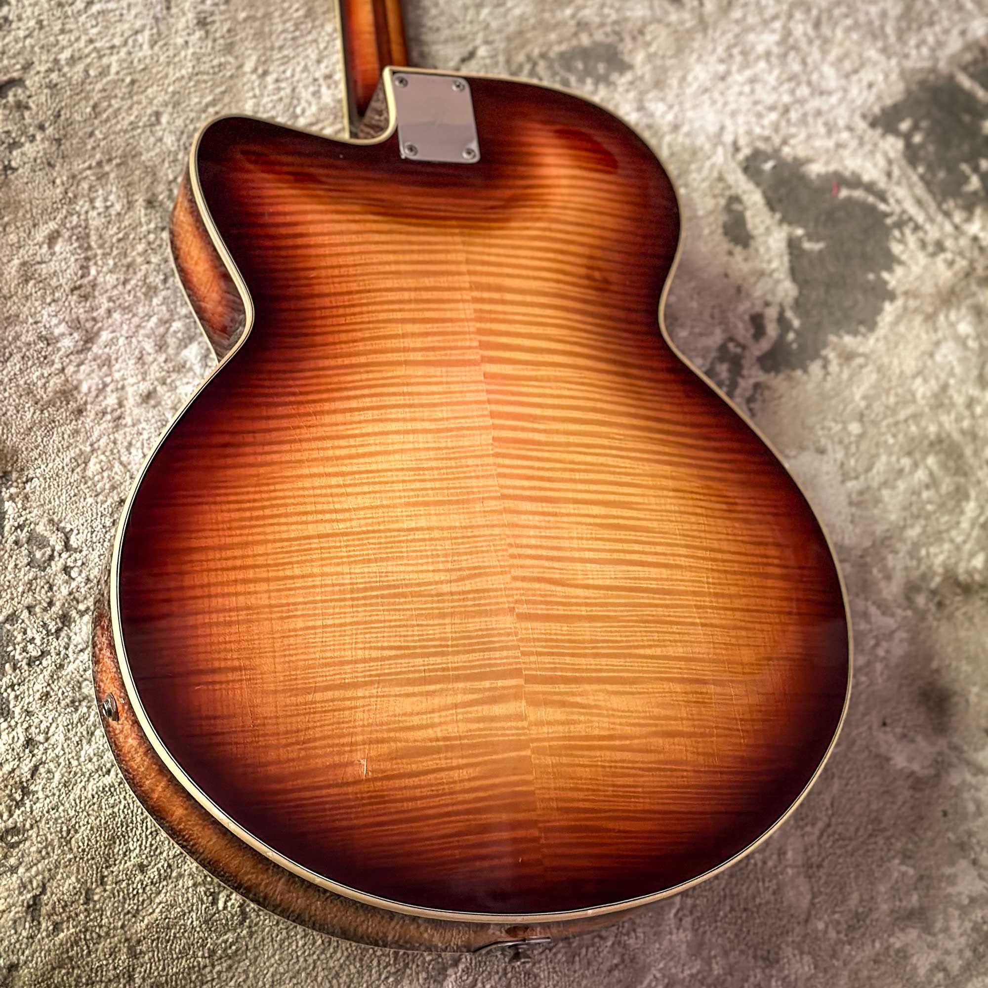 1971 Fender Montego II back