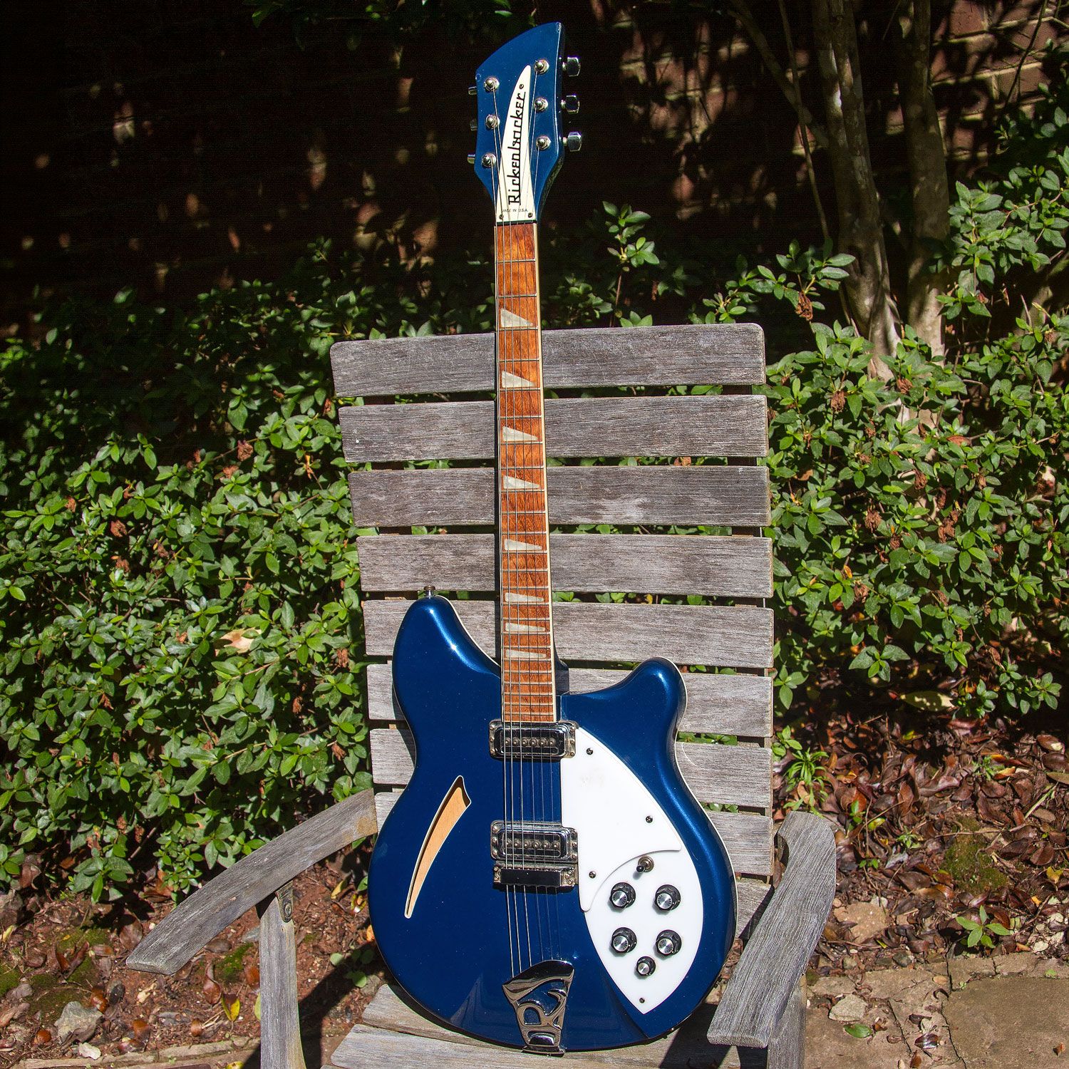 2006 Rickenbacker 360