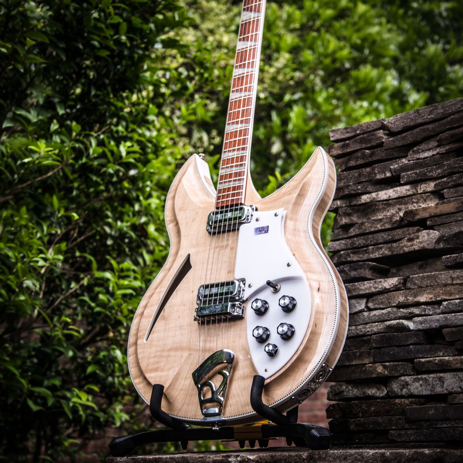 2007 Rickenbacker 381v69 body