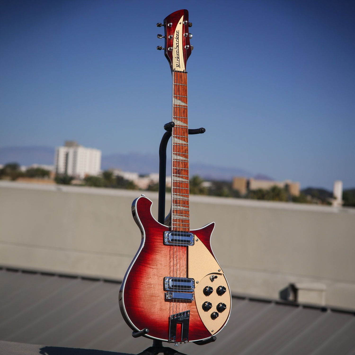 1999 Rickenbacker 660