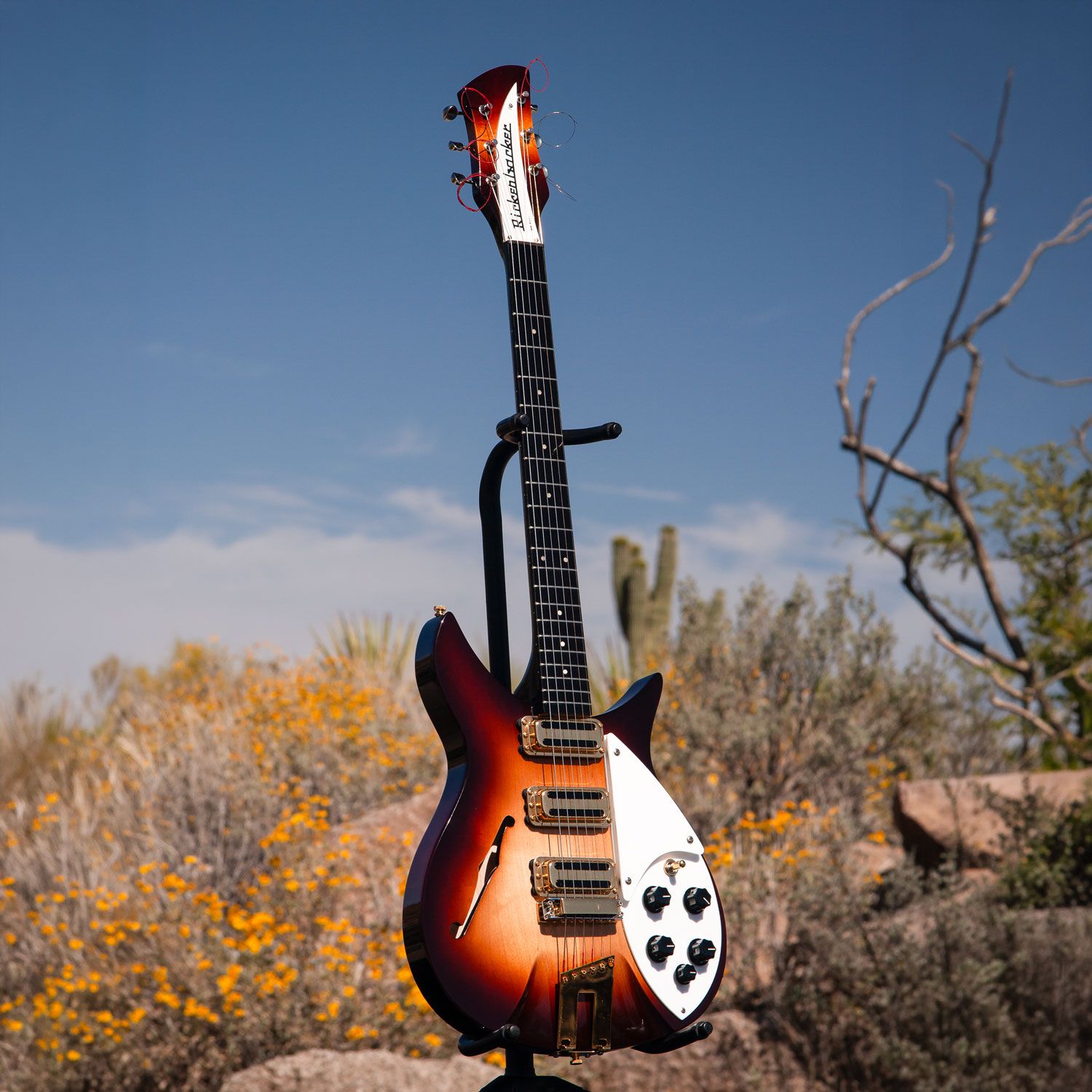 2004 Rickenbacker 350V63