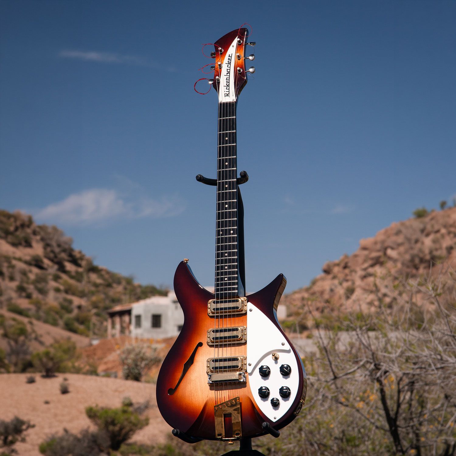 2004 Rickenbacker 350V63