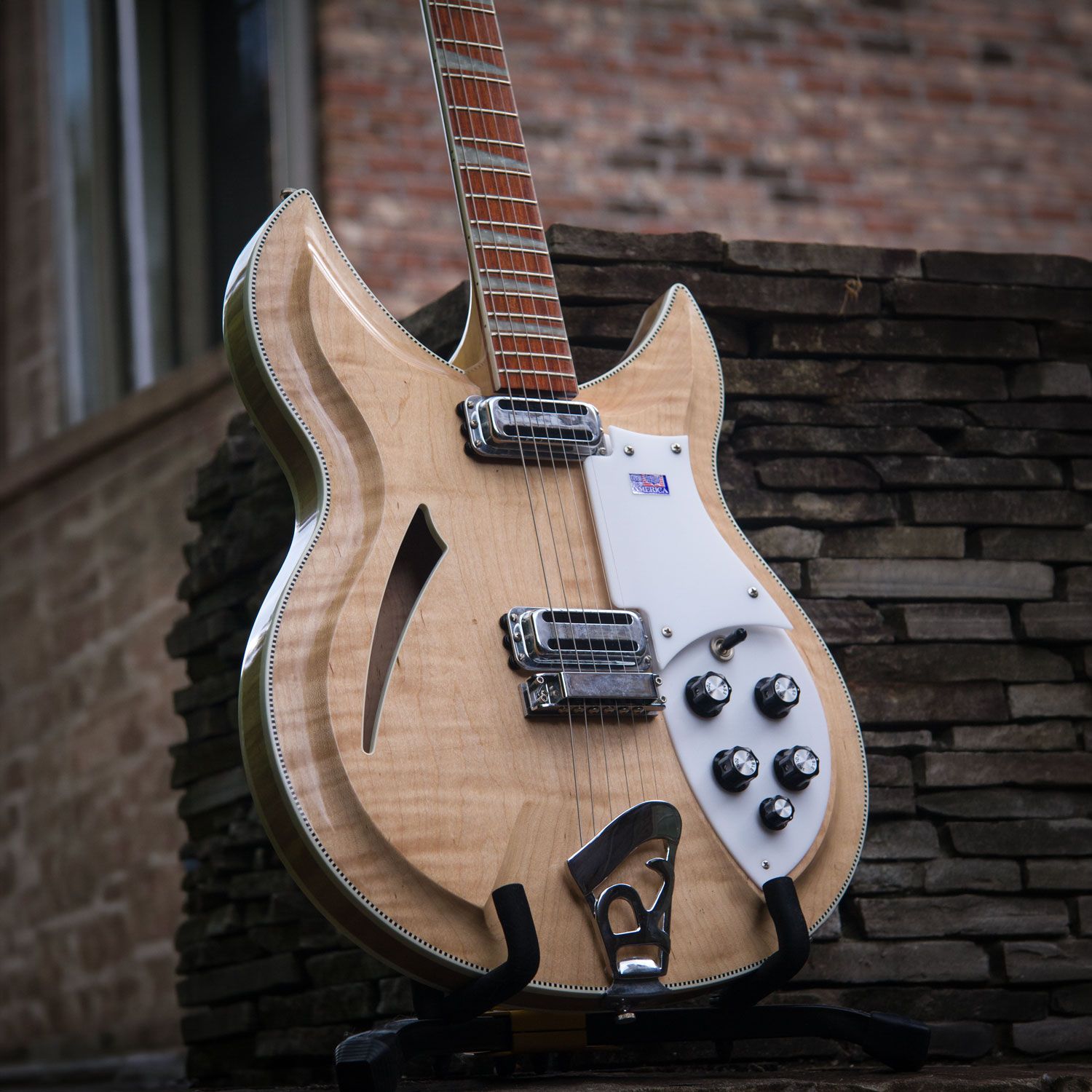 2007 Rickenbacker 381v69 body