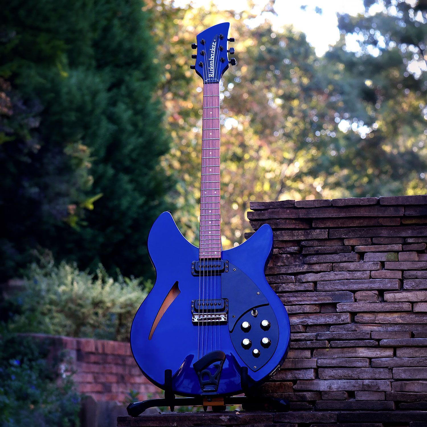 1989 Rickenbacker 330