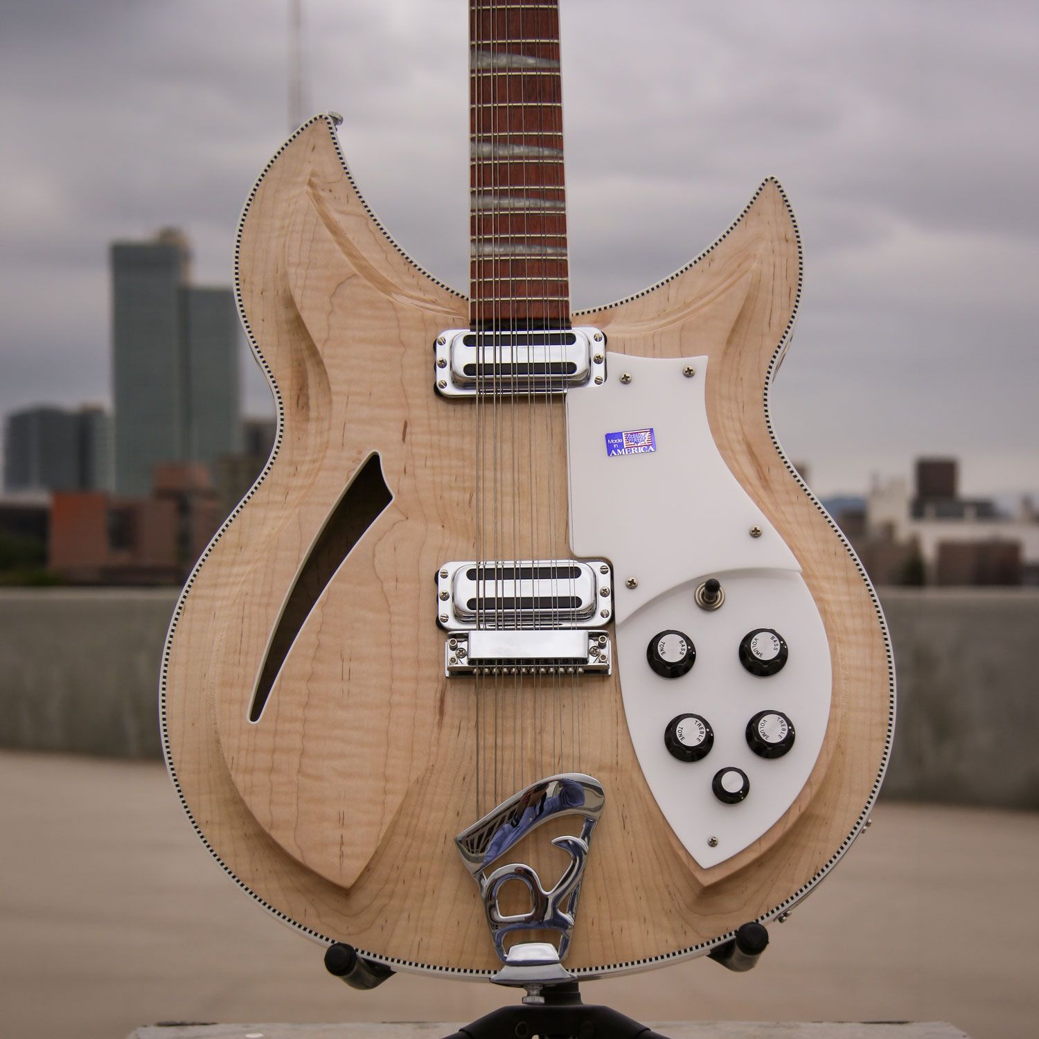 2002 Rickenbacker 381/12V69 body
