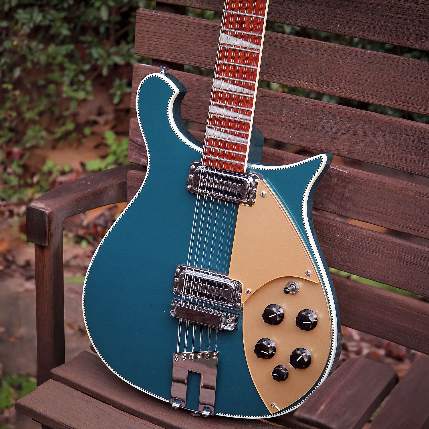2004 Rickenbacker 660/12 body