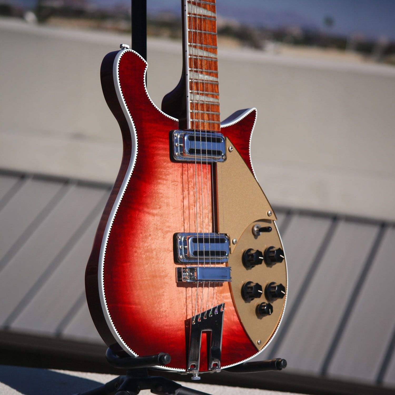1999 Rickenbacker 660 body