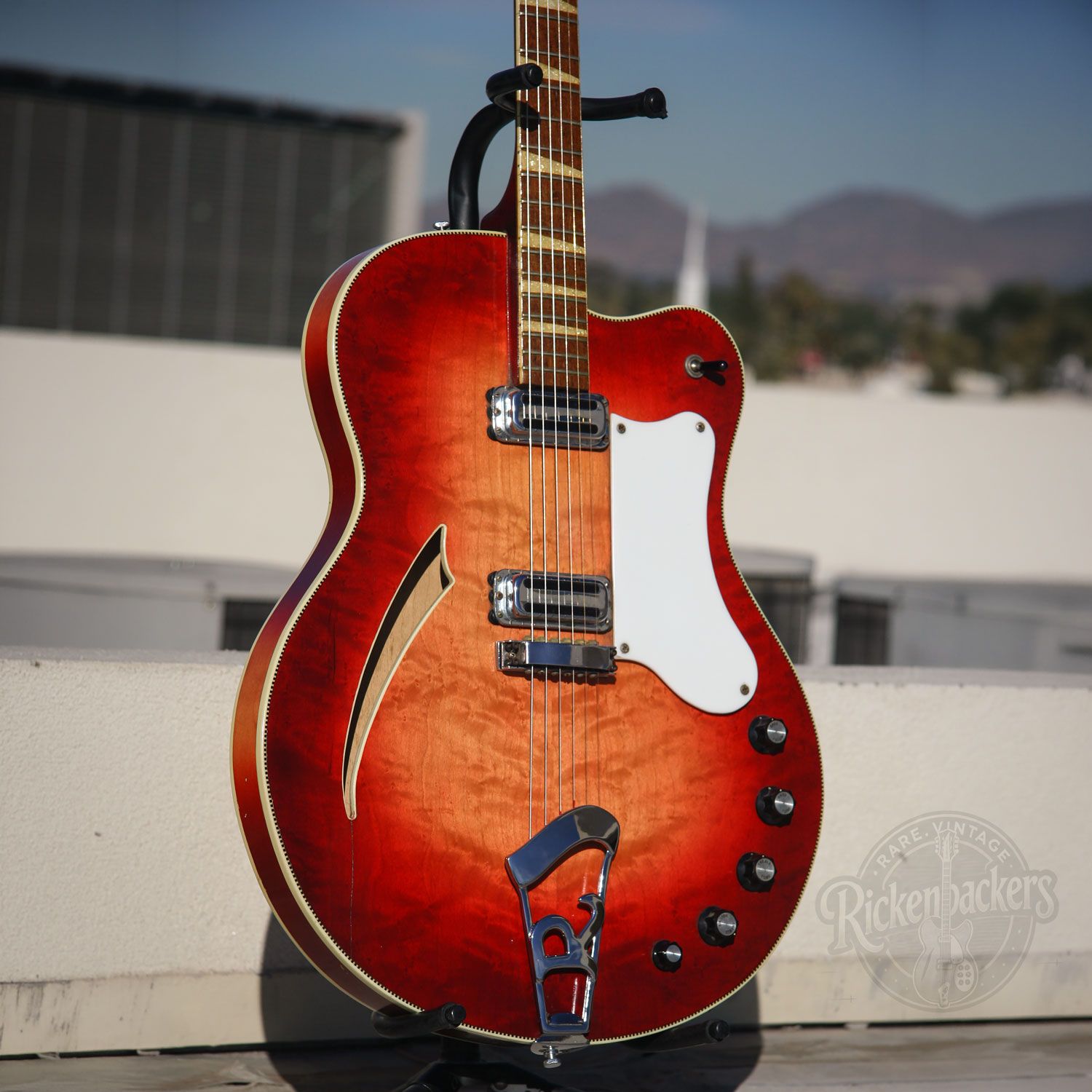 1968 Rickenbacker 360F body