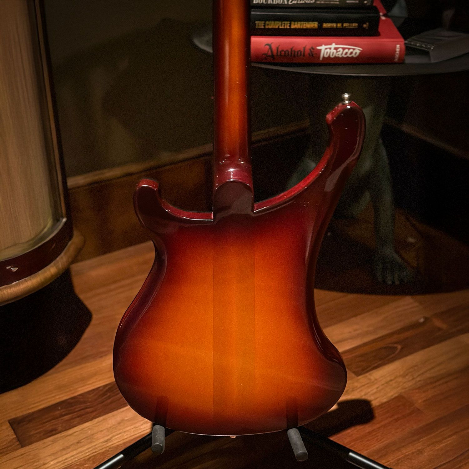 2021 Rickenbacker 480XC body back