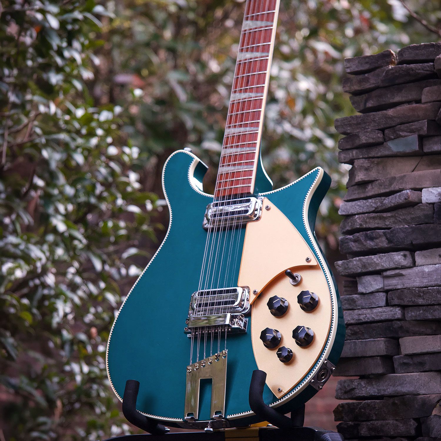 2004 Rickenbacker 660/12 body