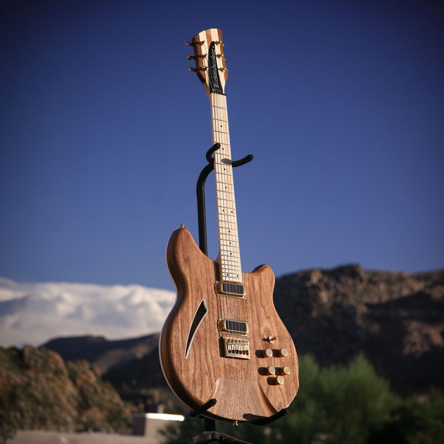 2003 Rickenbacker 380L PZ